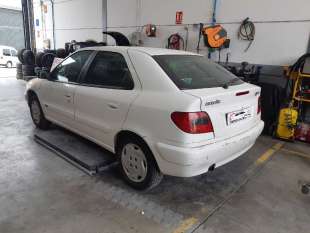 PILOTO TRASERO IZQUIERDO -...