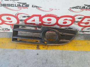 REJILLA PARAGOLPES...