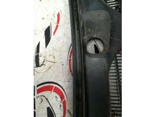 REJILLA DELANTERA FORD... 2