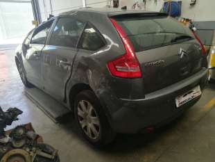 PILOTO TRASERO IZQUIERDO -...