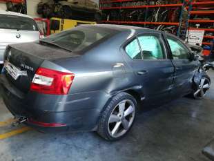 PILOTO TRASERO DERECHO -...