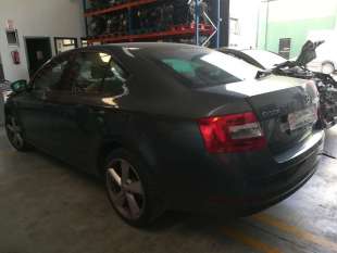 PILOTO TRASERO IZQUIERDO -...