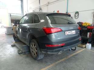 PILOTO TRASERO IZQUIERDO -...